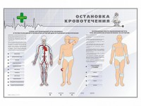 Электрифицированный стенд "Остановка кровотечения" - fgospostavki.ru - Балашиха