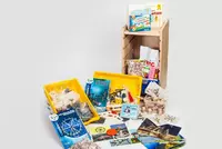 Учебно-методический набор для проектной деятельности в ДОО №1–ИТ (архитектура, мосты, простые механизмы) - fgospostavki.ru - Балашиха