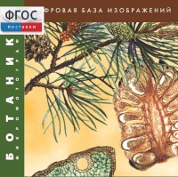 Ботаника. Микрофотографии. (Цифровая база изображений) - fgospostavki.ru - Балашиха