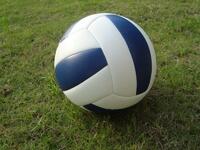 Мяч волейбольный звенящий - fgospostavki.ru - Балашиха