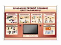 Многофункциональный интерактивный стенд-тренажер "Оказание первой помощи пострадавшим" для учащихся общеобразовательных учреждений - fgospostavki.ru - Балашиха