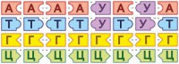 Модель-аппликация Удвоение ДНК и транскрипция РНК - fgospostavki.ru - Балашиха