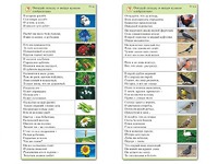 Комплект карточек (10) "Обучающий калейдоскоп. Природа" - fgospostavki.ru - Балашиха