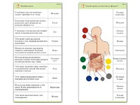 Комплект карточек (10) "Обучающий калейдоскоп. Человек" - fgospostavki.ru - Балашиха