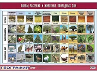 Таблица демонстрационная "Почвы, растения и животные природных зон" (винил 70*100) - fgospostavki.ru - Балашиха