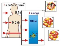 Модель-аппликация "Явление радиоактивности" (ламинированная) - fgospostavki.ru - Балашиха