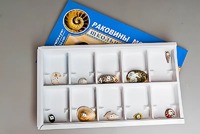 Коллекция "Раковины моллюсков" - fgospostavki.ru - Балашиха