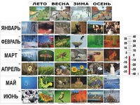 Фенологические наблюдения - fgospostavki.ru - Балашиха