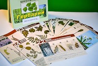 Гербарий к курсу основ общей биологии - fgospostavki.ru - Балашиха