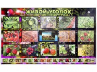 Комплект оборудования "Живой уголок" (растения) с тифлопереводом и сурдокомментариями - fgospostavki.ru - Балашиха