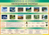 Таблица "Экология. Обобщающие таблицы" (100х140 сантиметров, винил) - fgospostavki.ru - Балашиха
