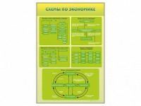 Стенды "Схемы по экономике" - fgospostavki.ru - Балашиха