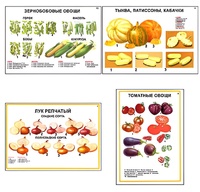 Плакаты ПРОФТЕХ "Ассортимент овощных культур" (12 пл, винил, 70х100) - fgospostavki.ru - Балашиха