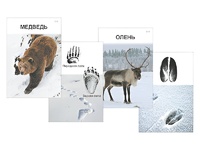 Комплект дидактических карточек "Следы на снегу" - fgospostavki.ru - Балашиха
