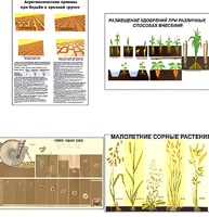 Плакаты ПРОФТЕХ "Агрономия" (5 пл, винил, 70х100) - fgospostavki.ru - Балашиха