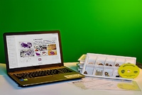 Коллекция натурально-интерактивная "Кварц в природе" - fgospostavki.ru - Балашиха