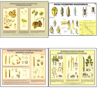 Плакаты ПРОФТЕХ "Вредители и болезни с/х культур и меры борьбы с ними" (11 пл, винил, 70х100) - fgospostavki.ru - Балашиха