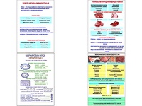 Плакаты ПРОФТЕХ "Классификации и виды мяса" (4 пл, винил, 70х100) - fgospostavki.ru - Балашиха