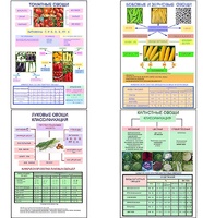 Плакаты ПРОФТЕХ "Классификация овощей" (11 пл, винил, 70х100) - fgospostavki.ru - Балашиха