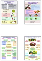 Плакаты ПРОФТЕХ "Классификация овощей и переработка" (8 пл, винил, 70х100) - fgospostavki.ru - Балашиха