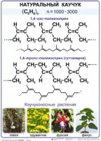 Комплект демонстрационных таблиц по химии "Полимеры" (комплект 12 таблиц) - fgospostavki.ru - Балашиха
