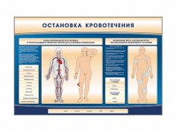 Электрифицированный стенд-тренажер "Остановка кровотечения" - fgospostavki.ru - Балашиха