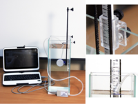 Набор демонстрационный «Гидростатика и плавание тел» - fgospostavki.ru - Балашиха