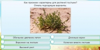 Интерактивные курсы. Окружающий мир 3 класс . Базовый. - fgospostavki.ru - Балашиха