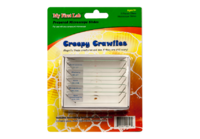 Набор микропрепаратов для микроскопа №2 «Насекомые» - fgospostavki.ru - Балашиха