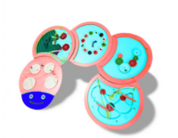 Тактильно-развивающая панель «Гусеница» - fgospostavki.ru - Балашиха