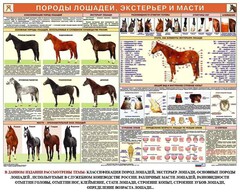 Комплект плакатов "Служебное коневодство" - fgospostavki.ru - Балашиха