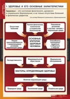 Комплект таблиц. ОБЖ. Здоровый образ жизни. - fgospostavki.ru - Балашиха