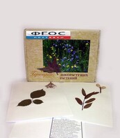 Гербарий "Дикорастущие растения" (28 видов) - fgospostavki.ru - Балашиха