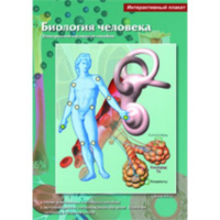 Интерактивные плакаты. Биология человека. Программно-методический комплекс - fgospostavki.ru - Балашиха