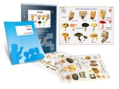 Комплект кодотранспарантов "Грибы" - fgospostavki.ru - Балашиха