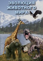 DVD "Эволюция животного мира" - fgospostavki.ru - Балашиха