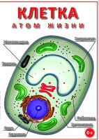 DVD "Клетка - "атом жизни" - fgospostavki.ru - Балашиха