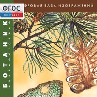 Ботаника. Микрофотографии. (Цифровая база изображений) - fgospostavki.ru - Балашиха