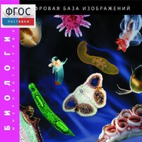 Биология. Микрофотографии. (Цифровая база изображений) - fgospostavki.ru - Балашиха