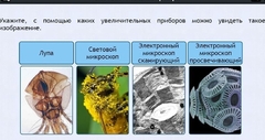 Интерактивные курсы. Биология 5 класс. Расширенный - fgospostavki.ru - Балашиха
