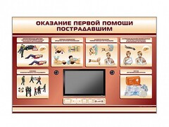 Многофункциональный интерактивный стенд-тренажер "Оказание первой помощи пострадавшим" для учащихся общеобразовательных учреждений - fgospostavki.ru - Балашиха