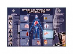 Электрифицированный стенд "Вредные привычки: наркомания" - fgospostavki.ru - Балашиха