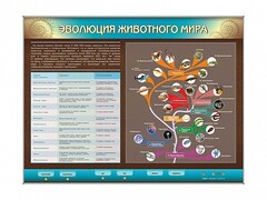 Интерактивный электрифицированный стенд "Эволюция животного мира" - fgospostavki.ru - Балашиха