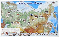 Магнитные карточки "Животные" - fgospostavki.ru - Балашиха
