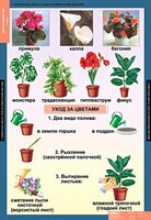 Комплект таблиц. Окружающий мир 1 класс. - fgospostavki.ru - Балашиха
