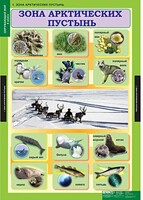 Комплект таблиц. Окружающий мир 4 класс. - fgospostavki.ru - Балашиха