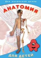 DVD "Анатомия для детей" - fgospostavki.ru - Балашиха