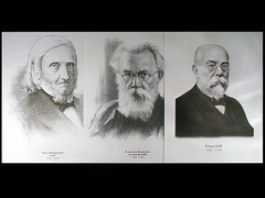 Портреты биологов (26 штук, формат А3) - fgospostavki.ru - Балашиха