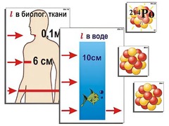 Модель-аппликация "Явление радиоактивности" (ламинированная) - fgospostavki.ru - Балашиха