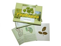 Гербарий "Дикорастущие растения" (30 видов, с иллюстрациями) - fgospostavki.ru - Балашиха